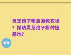 灵芝孢子粉菠菠叔农场？探访灵芝孢子粉种植基地？