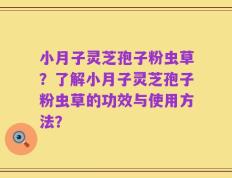 小月子灵芝孢子粉虫草？了解小月子灵芝孢子粉虫草的功效与使用方法？