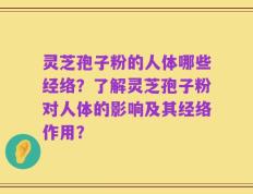 灵芝孢子粉的人体哪些经络？了解灵芝孢子粉对人体的影响及其经络作用？