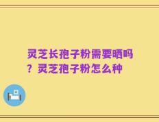 灵芝长孢子粉需要晒吗？灵芝孢子粉怎么种