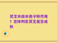 灵芝木段木孢子粉作用？怎样判定灵芝是否成熟