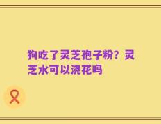 狗吃了灵芝孢子粉？灵芝水可以浇花吗