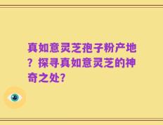 真如意灵芝孢子粉产地？探寻真如意灵芝的神奇之处？