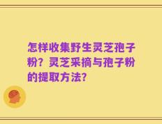 怎样收集野生灵芝孢子粉？灵芝采摘与孢子粉的提取方法？