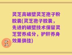 灵芝高破壁灵芝孢子粉胶囊(灵芝孢子胶囊，先进的破壁技术保留灵芝营养成分，护肝养身效果俱佳)