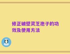 修正破壁灵芝孢子的功效及使用方法