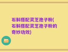 石斛搭配灵芝孢子粉(石斛搭配灵芝孢子粉的奇妙功效)