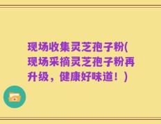 现场收集灵芝孢子粉(现场采摘灵芝孢子粉再升级，健康好味道！)