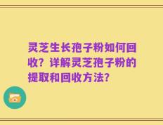 灵芝生长孢子粉如何回收？详解灵芝孢子粉的提取和回收方法？