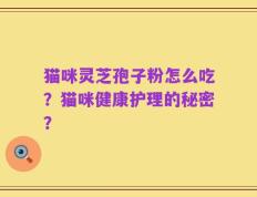 猫咪灵芝孢子粉怎么吃？猫咪健康护理的秘密？