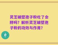 灵芝破壁孢子粉吃了会胖吗？解析灵芝破壁孢子粉的功效与作用？