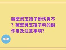 破壁灵芝孢子粉伤胃不？破壁灵芝孢子粉的副作用及注意事项？