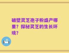 破壁灵芝孢子粉盛产哪里？探秘灵芝的生长环境？