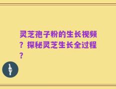 灵芝孢子粉的生长视频？探秘灵芝生长全过程？