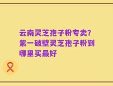 云南灵芝孢子粉专卖？紫一破壁灵芝孢子粉到哪里买最好