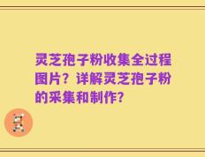 灵芝孢子粉收集全过程图片？详解灵芝孢子粉的采集和制作？