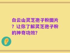 白云山灵芝孢子粉图片？让你了解灵芝孢子粉的神奇功效？