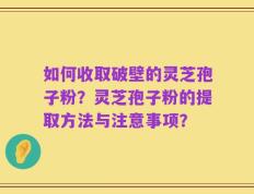 如何收取破壁的灵芝孢子粉？灵芝孢子粉的提取方法与注意事项？