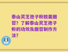 泰山灵芝孢子粉胶囊图哲？了解泰山灵芝孢子粉的功效及图哲制作方法？