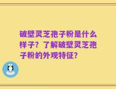 破壁灵芝孢子粉是什么样子？了解破壁灵芝孢子粉的外观特征？