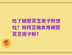 吃了破壁灵芝孢子粉想吐？如何正确食用破壁灵芝孢子粉？