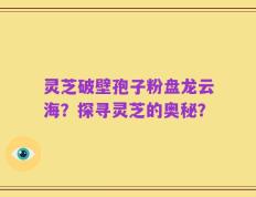 灵芝破壁孢子粉盘龙云海？探寻灵芝的奥秘？
