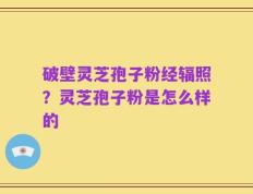 破壁灵芝孢子粉经辐照？灵芝孢子粉是怎么样的