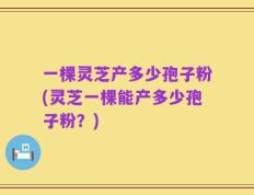 一棵灵芝产多少孢子粉(灵芝一棵能产多少孢子粉？)