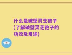 什么是破壁灵芝孢子 (了解破壁灵芝孢子的功效及用途)