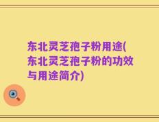 东北灵芝孢子粉用途(东北灵芝孢子粉的功效与用途简介)