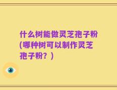 什么树能做灵芝孢子粉(哪种树可以制作灵芝孢子粉？)