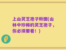 上山灵芝孢子粉图(山林中珍稀的灵芝孢子，你必须要看！)