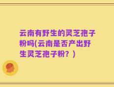 云南有野生的灵芝孢子粉吗(云南是否产出野生灵芝孢子粉？)