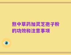 熬中草药加灵芝孢子粉的功效和注意事项