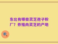 东北有哪些灵芝孢子粉厂？养殖肉灵芝的产地