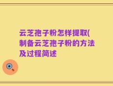 云芝孢子粉怎样提取(制备云芝孢子粉的方法及过程简述