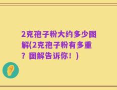 2克孢子粉大约多少图解(2克孢子粉有多重？图解告诉你！)