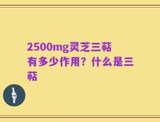 2500mg灵芝三萜有多少作用？什么是三萜
