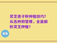 灵芝孢子粉种植技巧？从选种到管理，全面解析灵芝种植？