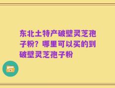 东北土特产破壁灵芝孢子粉？哪里可以买的到破壁灵芝孢子粉