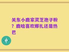 关东小鹿家灵芝孢子粉？鹿晗喜欢娜扎还是热巴