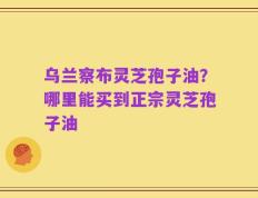 乌兰察布灵芝孢子油？哪里能买到正宗灵芝孢子油