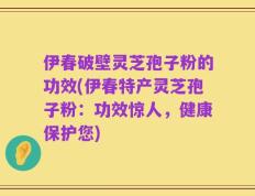 伊春破壁灵芝孢子粉的功效(伊春特产灵芝孢子粉：功效惊人，健康保护您)