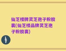 仙芝楼牌灵芝孢子粉胶囊(仙芝楼品牌灵芝孢子粉胶囊)
