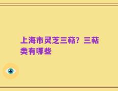 上海市灵芝三萜？三萜类有哪些