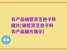 农产品破壁灵芝孢子粉图片(破壁灵芝孢子粉农产品图片展示)