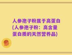 人参孢子粉属于高蛋白(人参孢子粉：高含量蛋白质的天然营养品)