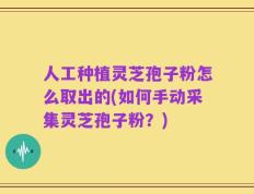 人工种植灵芝孢子粉怎么取出的(如何手动采集灵芝孢子粉？)