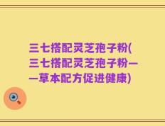 三七搭配灵芝孢子粉(三七搭配灵芝孢子粉——草本配方促进健康)