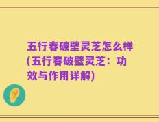 五行春破壁灵芝怎么样(五行春破壁灵芝：功效与作用详解)